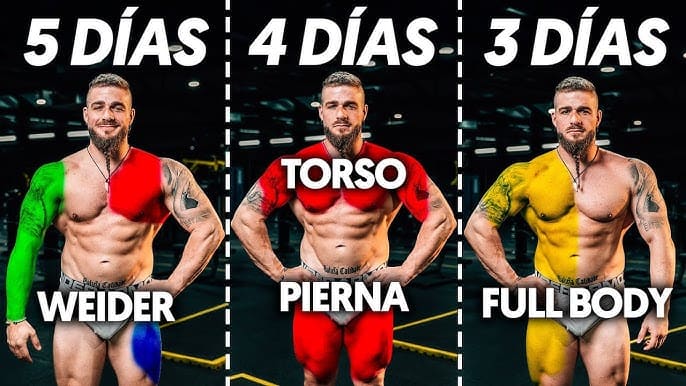Rutina torso pierna vs weider vs fullbody torso pierna vs weider vs fullbody diferencia