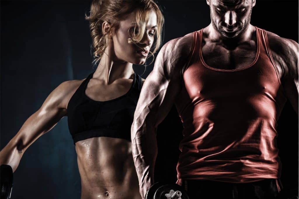 Rutina torso pierna vs weider vs fullbody weider rutina
